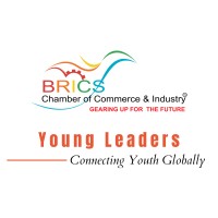 BRICS CCI Young Leaders